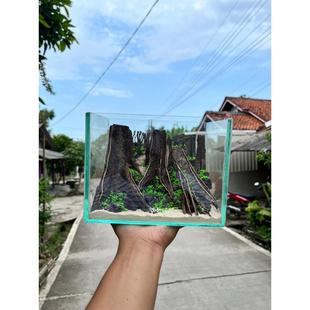 Aquascape Mini Jungle Fullset