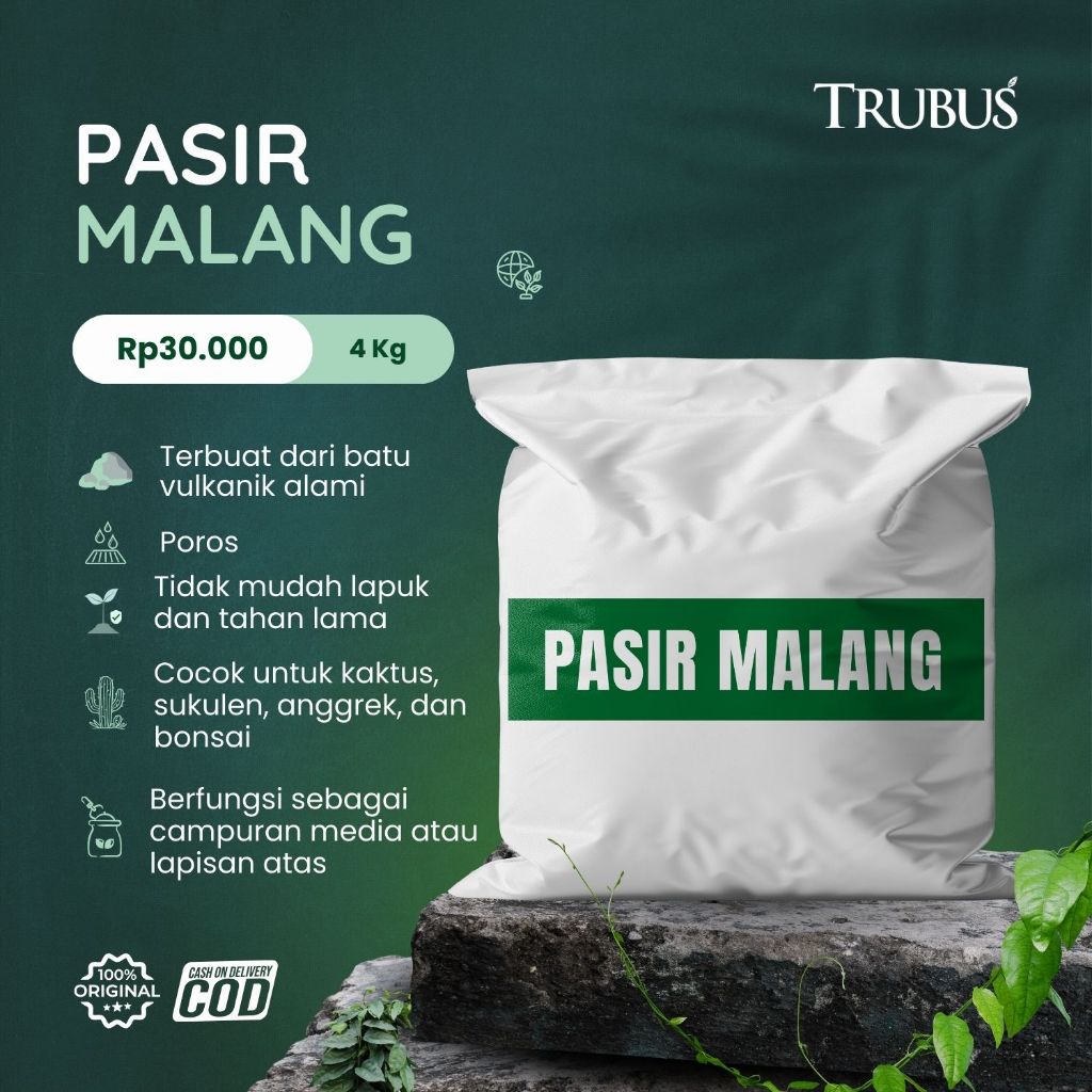 TRUBUS - PASIR MALANG TRUBUS 1 PAK