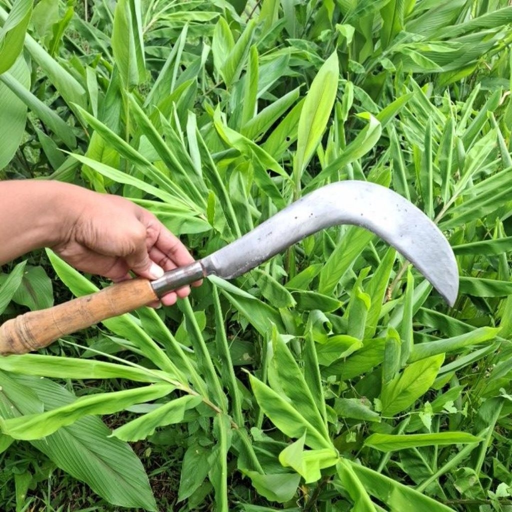 pisau serba guna , serabutan ,calok serbaguna ,bahan baja per asli ,berkualitas