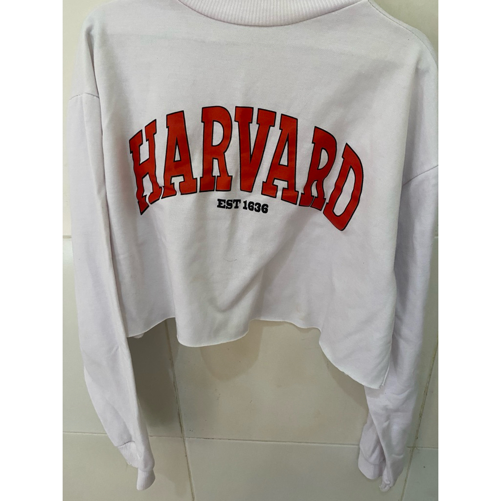 Sweater crop Harvard