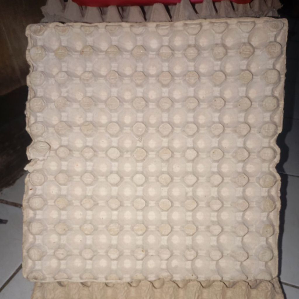 tray telur PUYUH bekas 02