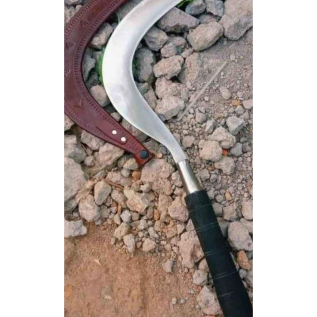 arit rumput asli produk madura