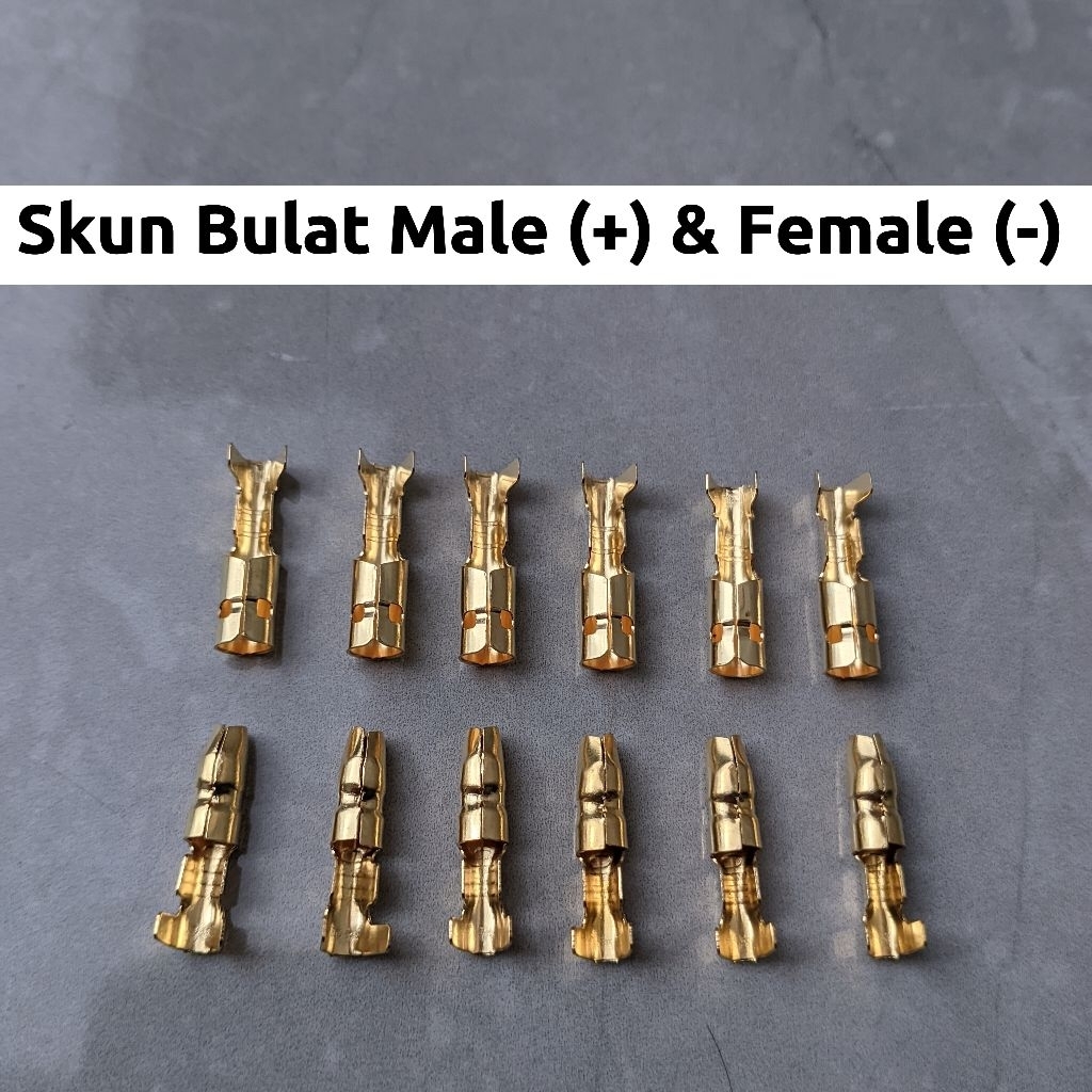 TERMINAL SKUN BULAT MALE & FEMALE  / SKUN BULAT COWO / SKUN BULAT CEWE/ SKUN PELURU