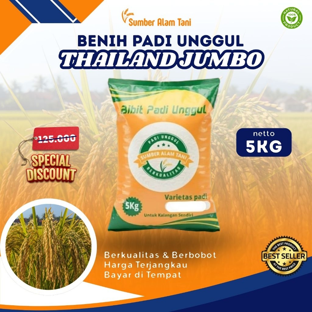 Bibit Padi THAILAND JUMBO -5 Kg Original Varietas Padi Super Kokoh Tahan Hama Hasil Optimal