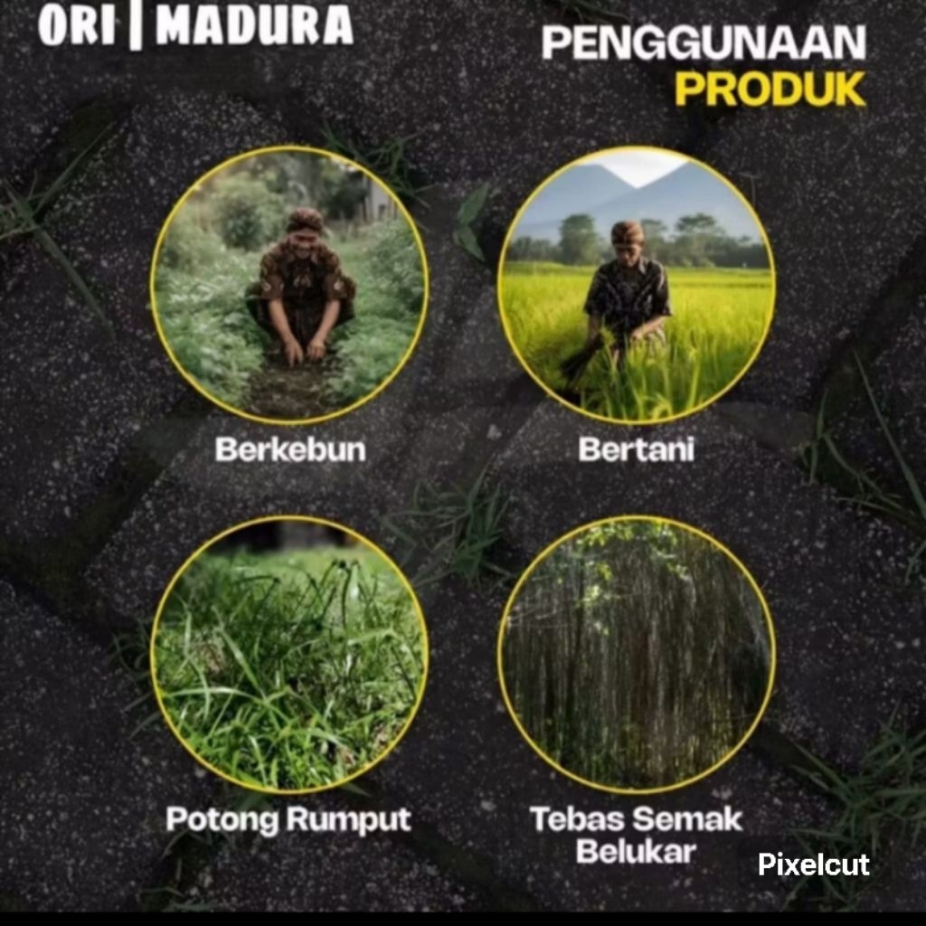 sabit rumput full baja original madura,uk besar dan super tjm sepuhan tua