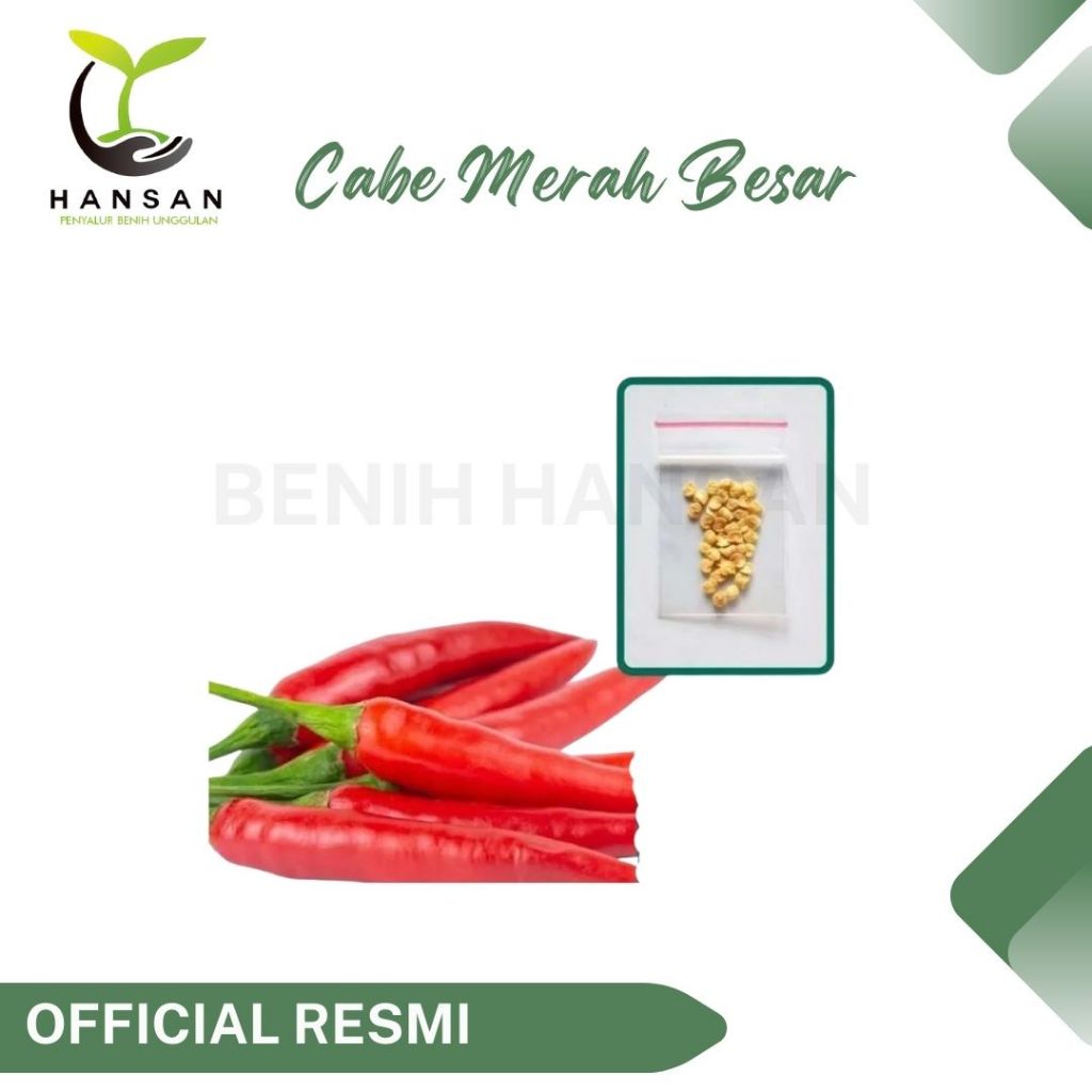30 Benih Cabe Merah Besar Sayuran Tahan Virus Cabai Unggul Berkualitas