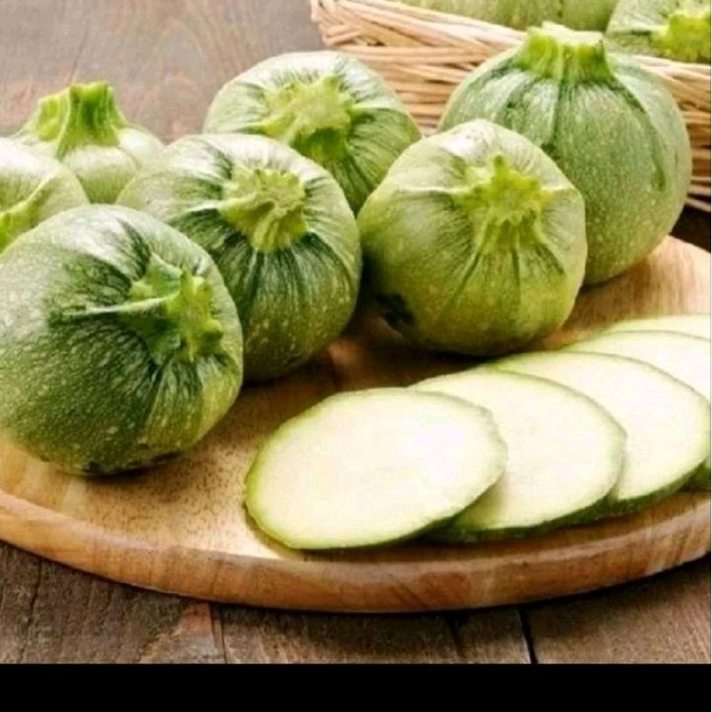 Biji benih zucchini bulat hijau kemasan premium