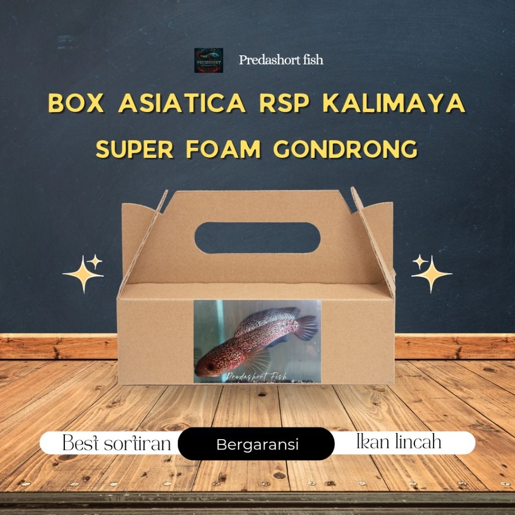 BOX kardus isi chana asiatica RSP KALIMAYA superfoam kualitas terbaik bergaransi