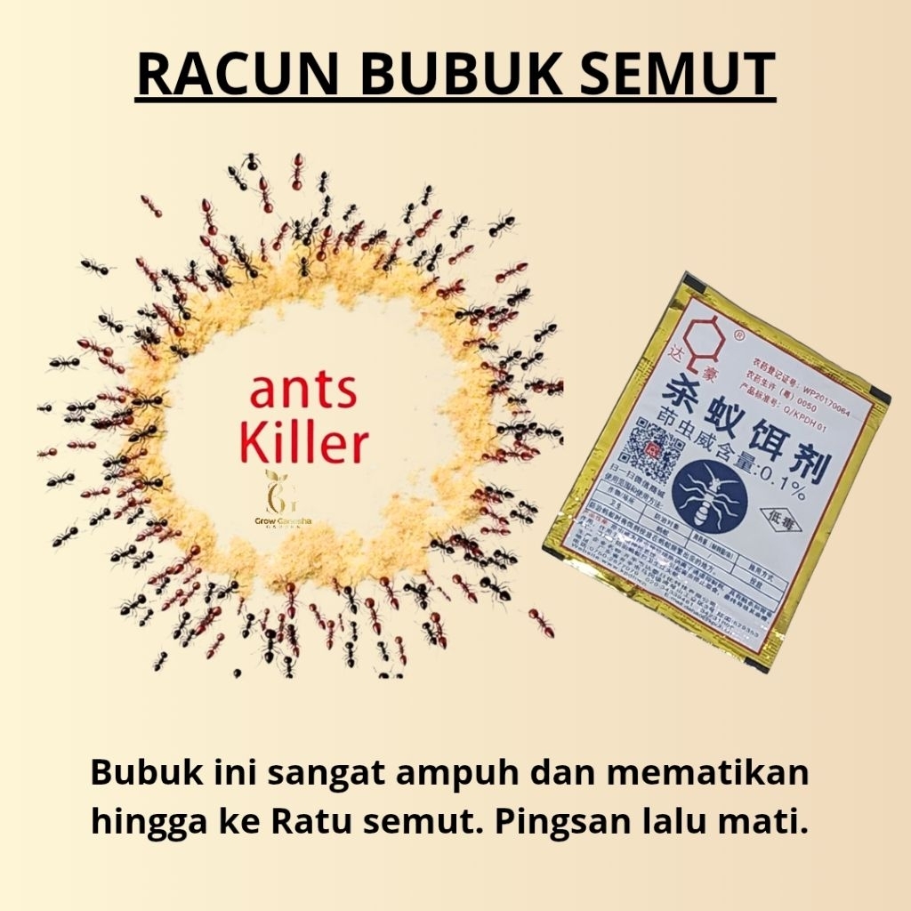 RACUN BUBUT SEMUT || RACUN SEMUT || RACUN AMPUH BUNUH SEMUT