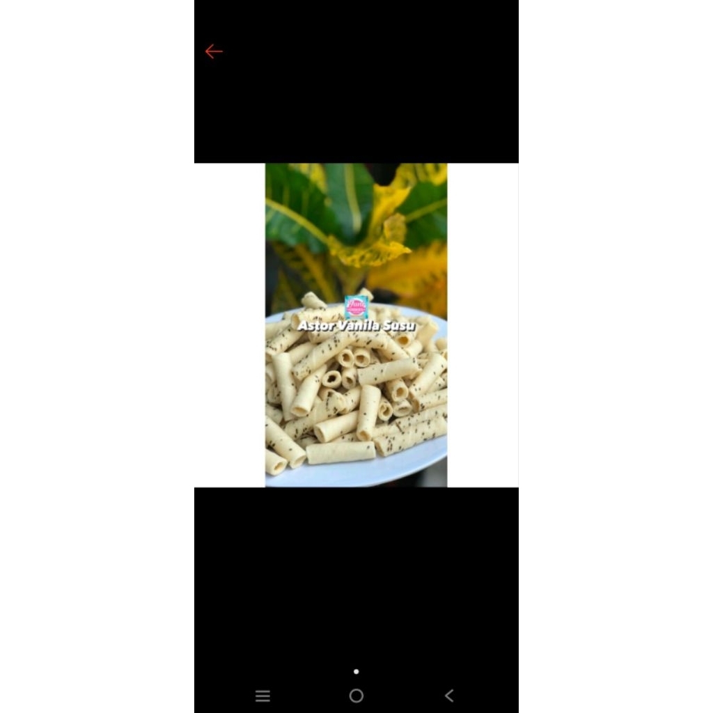 astor barcelona 500 Gram - Pilihan Varian Wafer Roll