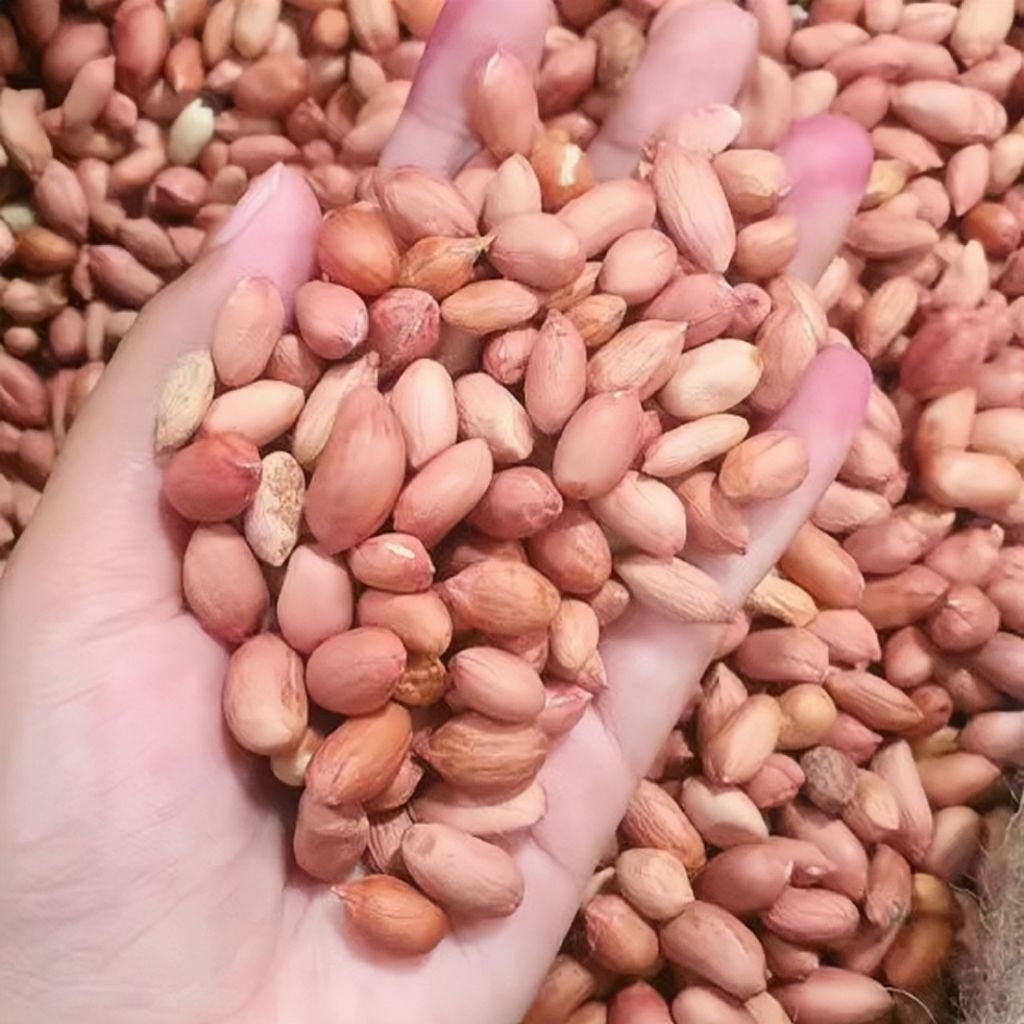 100 Gram Kacang Tanah Giling Mentah Berkualitas Tinggi, Cocok untuk Bumbu Pecel