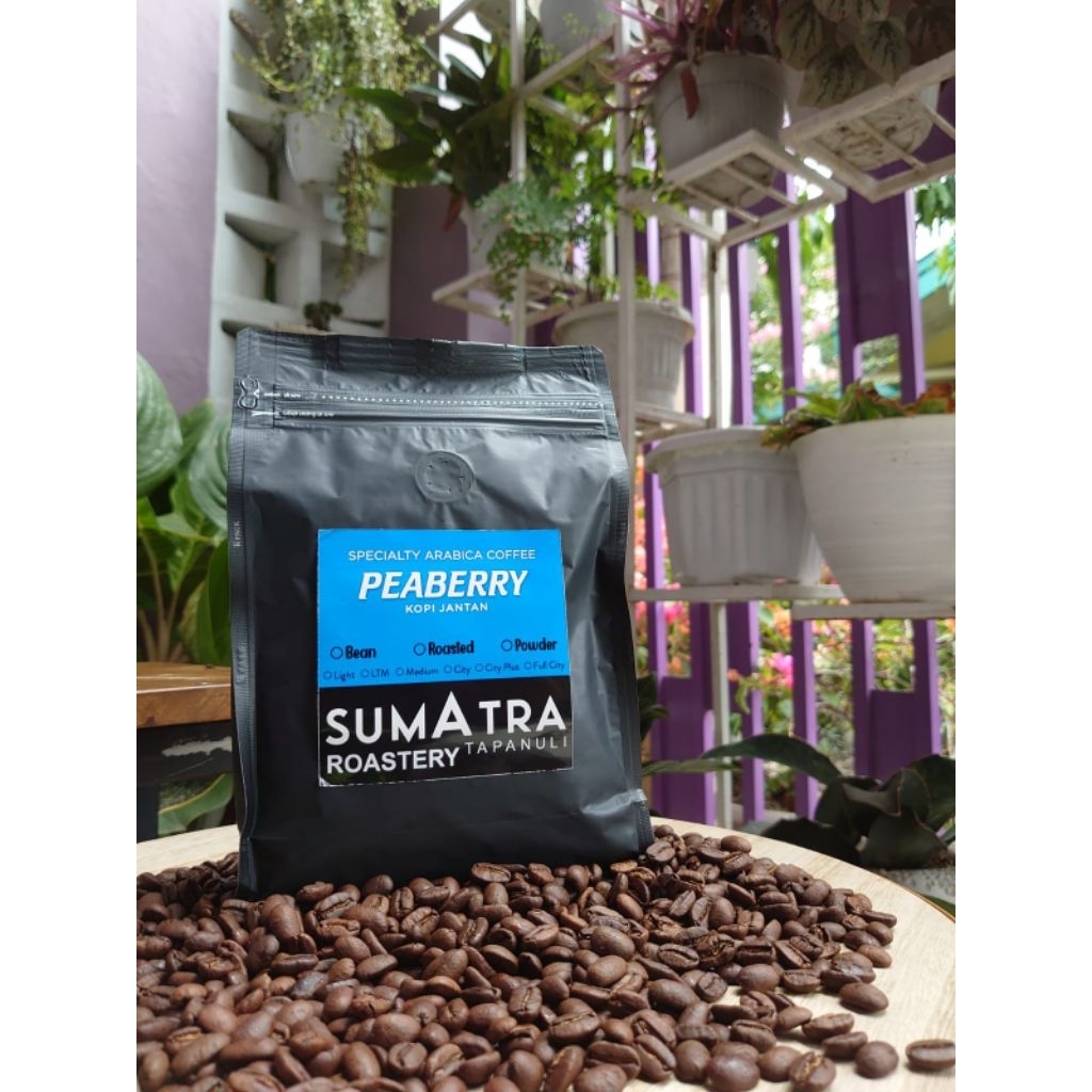 Kopi Jantan Peaberry