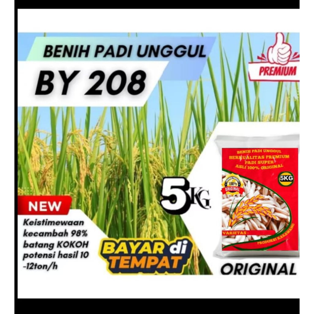BENIH PADI UNGGUL BY 208 KEMASAN 5KG