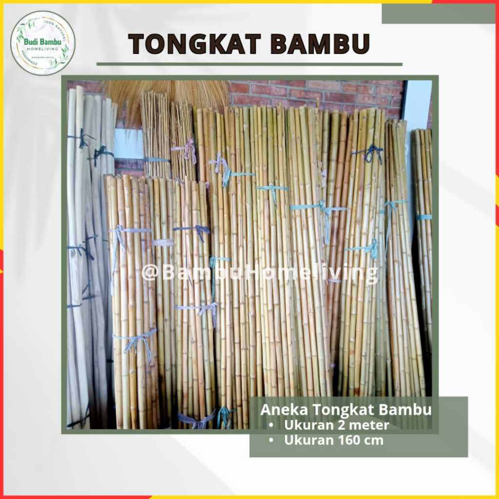 TONGKAT BAMBU CENDANI TINGGI 200cm TONGKAT PRAMUKA 160CM BAMBU POLOS 2 METER DIAMETER BESAR HARGA PE