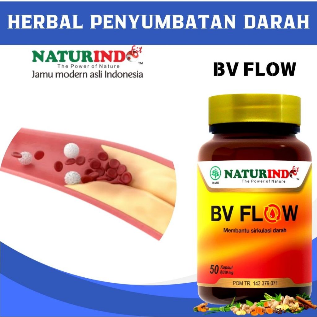 Obat herbal penyumbatan pembersih pembuluh darah kotor pelancar darah ampuh herbal bv flow