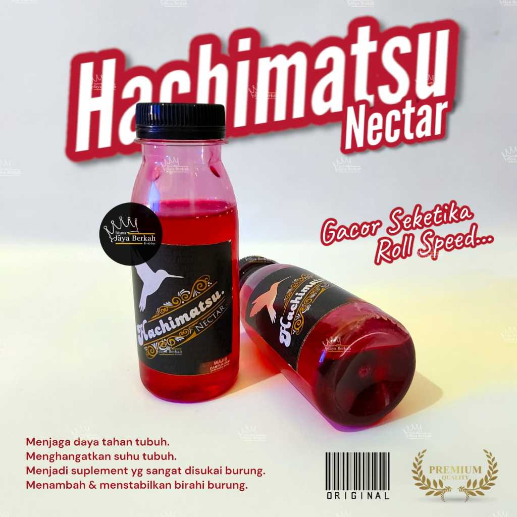 NEKTAR HACHIMATSU KONIN SOGON PLECI