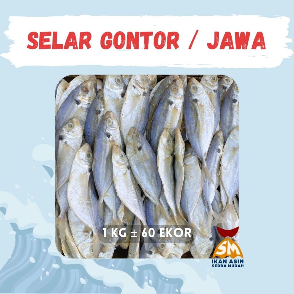 Selar Gontor | Selar Jawa | Ikan Selar | Ikan Asin