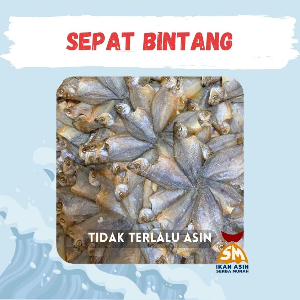 Sepat Bintang | Sepat Kipas | Sepat Bunga | Ikan Sepat | Ikan Asin