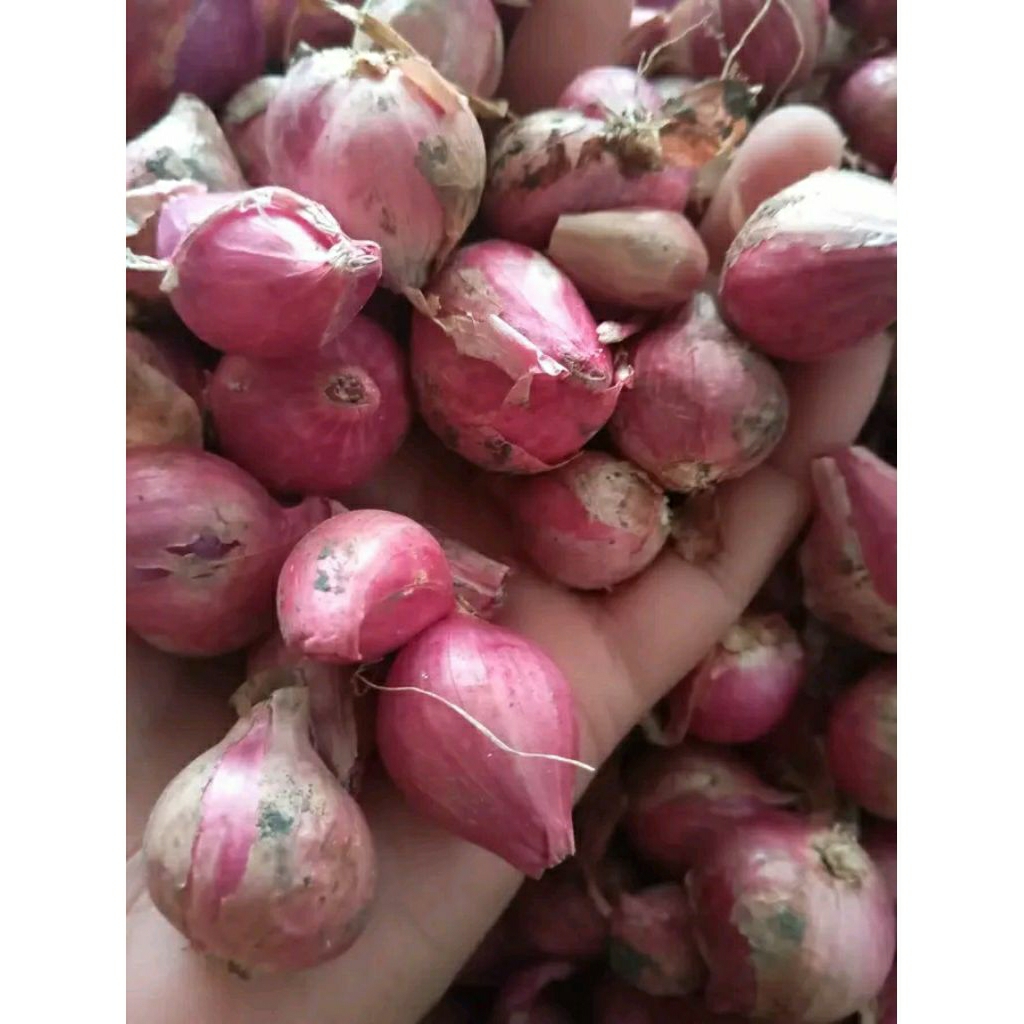 Bawang merah 1kg ukuran besar sedang