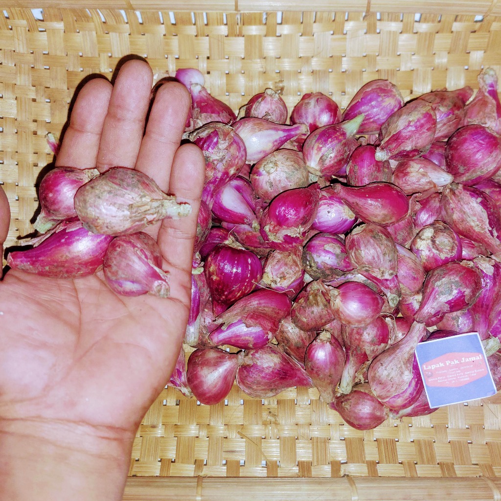 Bawang MERAH BREBES SUPER - 1 Kg