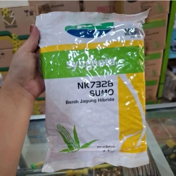 BENIH JAGUNG HIBRIDA NK SUMO 1 KG - Bibit Jagung NK 7328 SUMO