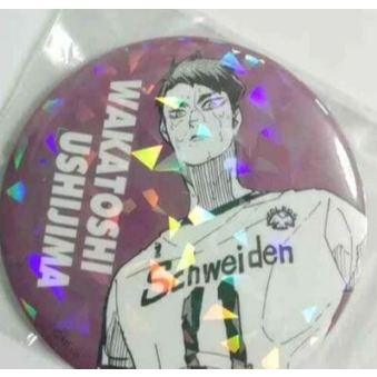 USHIJIMA WAKATOSHI BADGE PIN HAIKYUUU KOLEKSI HIAS