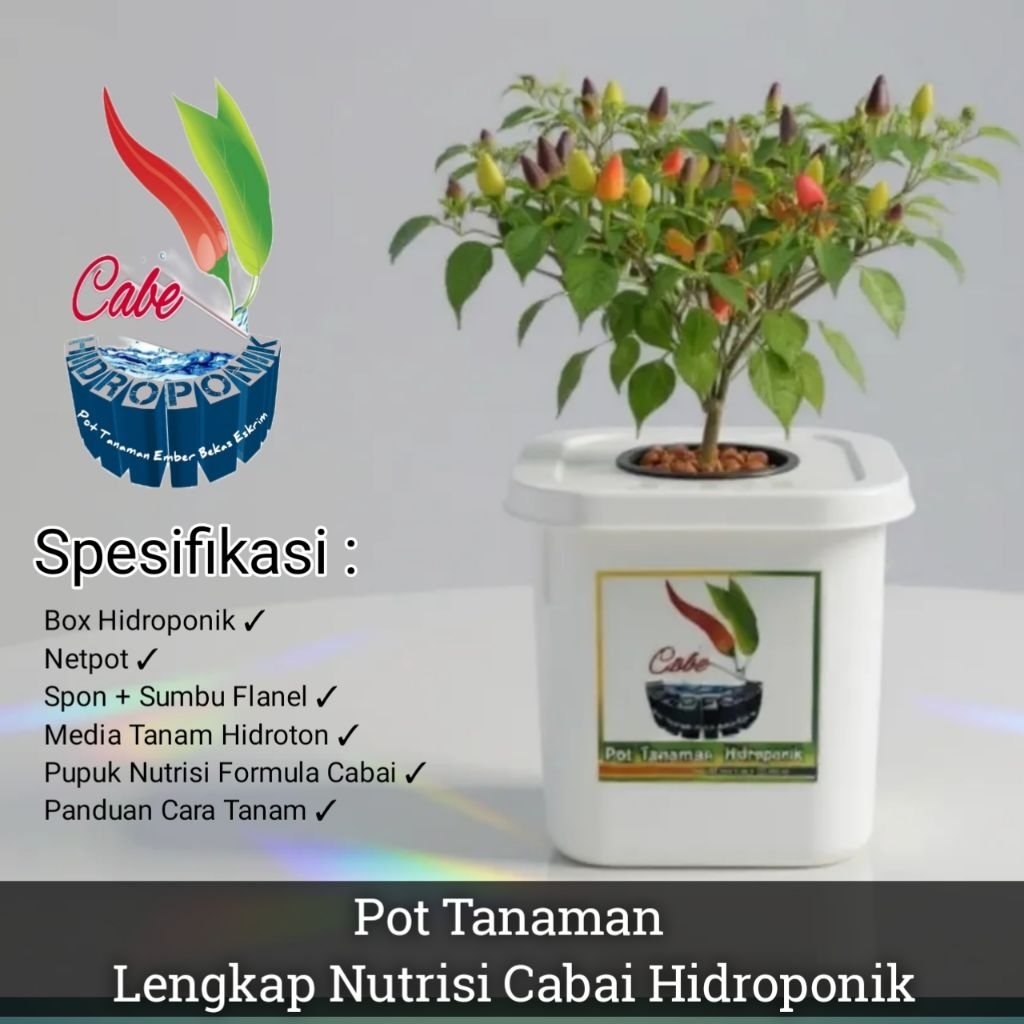 Pot Tanaman Hidroponik minimalis Nutrisi Cabe