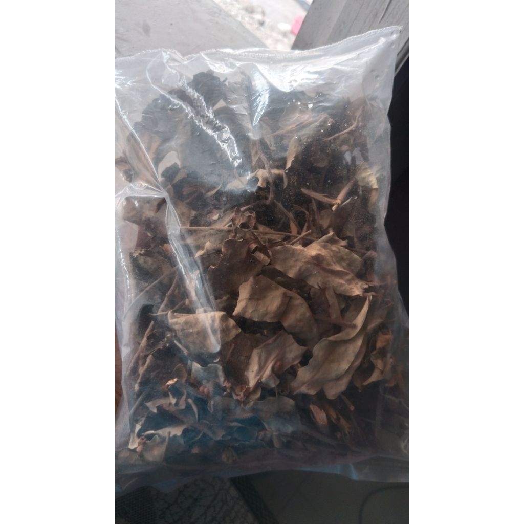obat herbal benalu kopi asli