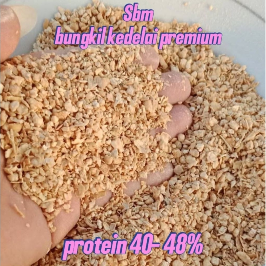 bungkil kedelai premium/SBM