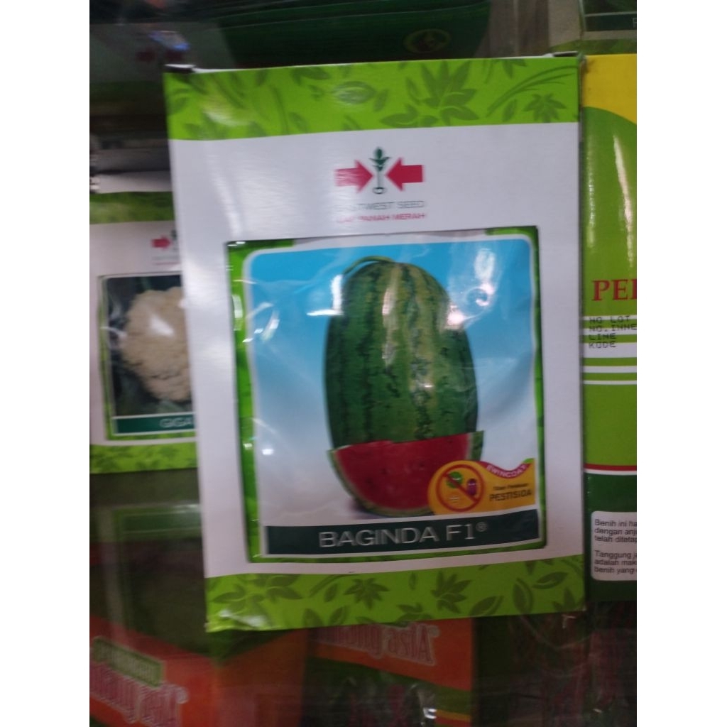 SEMANGKA BAGINDA F1