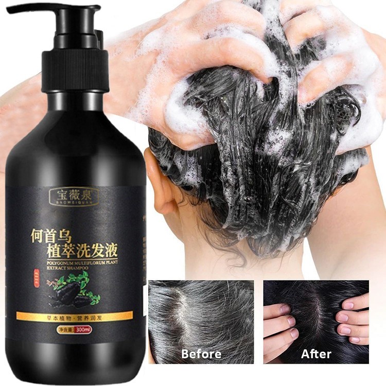 Sampo Penghilang Uban Shampoo Black Herbal Natural Polygonum Multiflorum Hair Blackening perawatan r