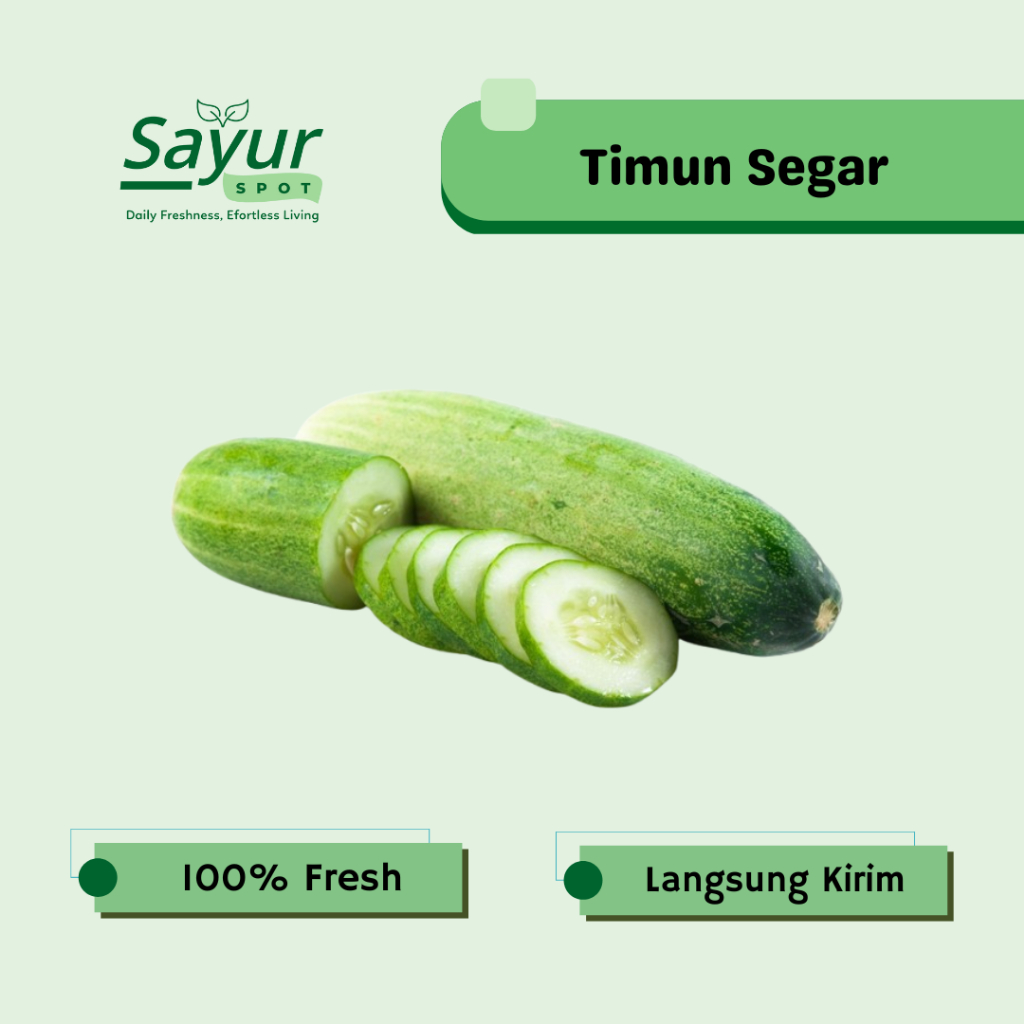 Timun / Mentimun / Ketimun Segar / Sayur Segar | Sayur Spot Bekasi