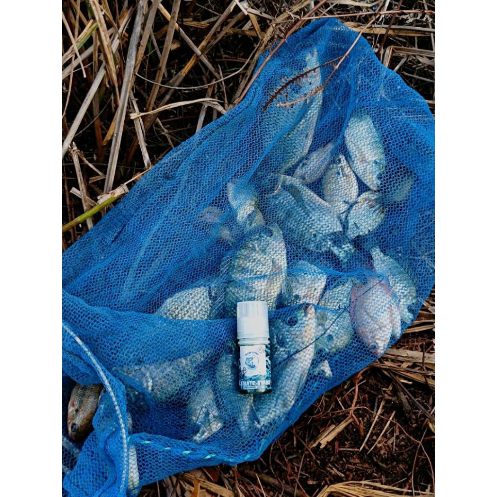 Essen Gacor Khusus Ikan Nila HYPER STRIKE