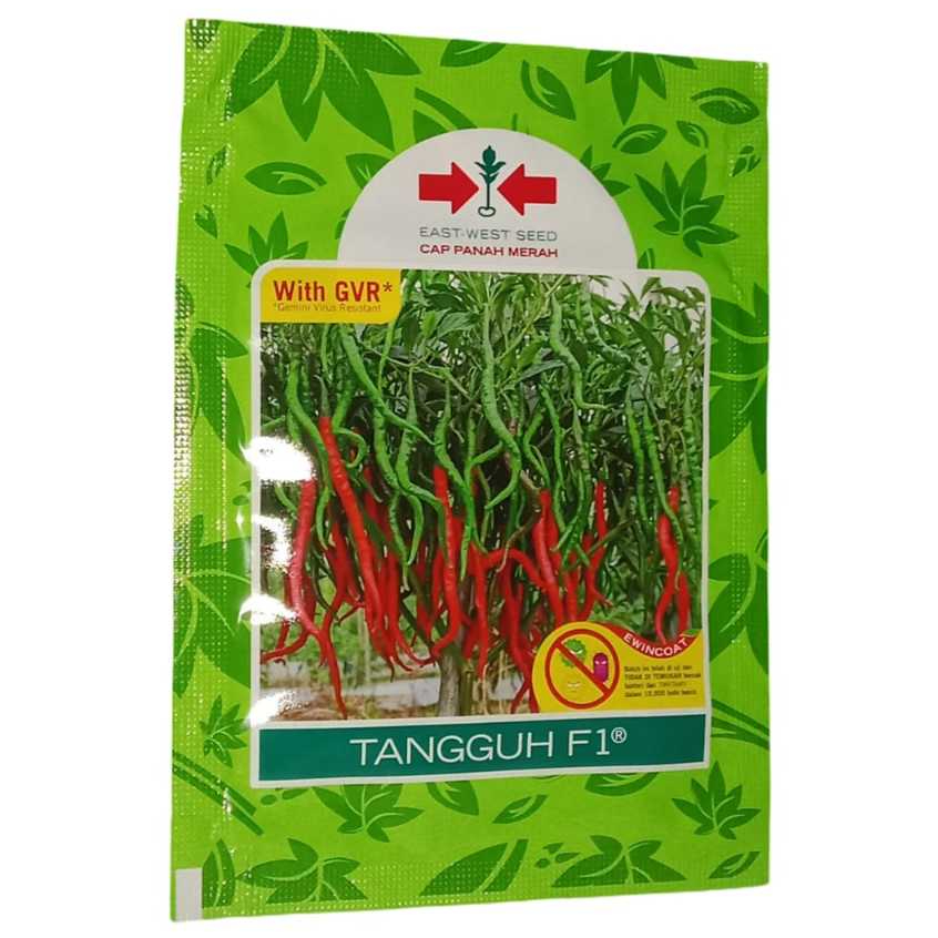 Benih Cabe Keriting TANGGUH F1 - Tahan Penyakit, Kualitas Tinggi, 2000 Butir