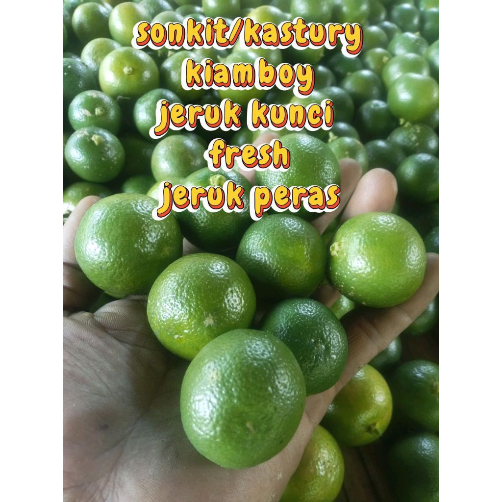 jeruk sonkit/kiamboy/kastury jeruk peras ukuran besar1kg