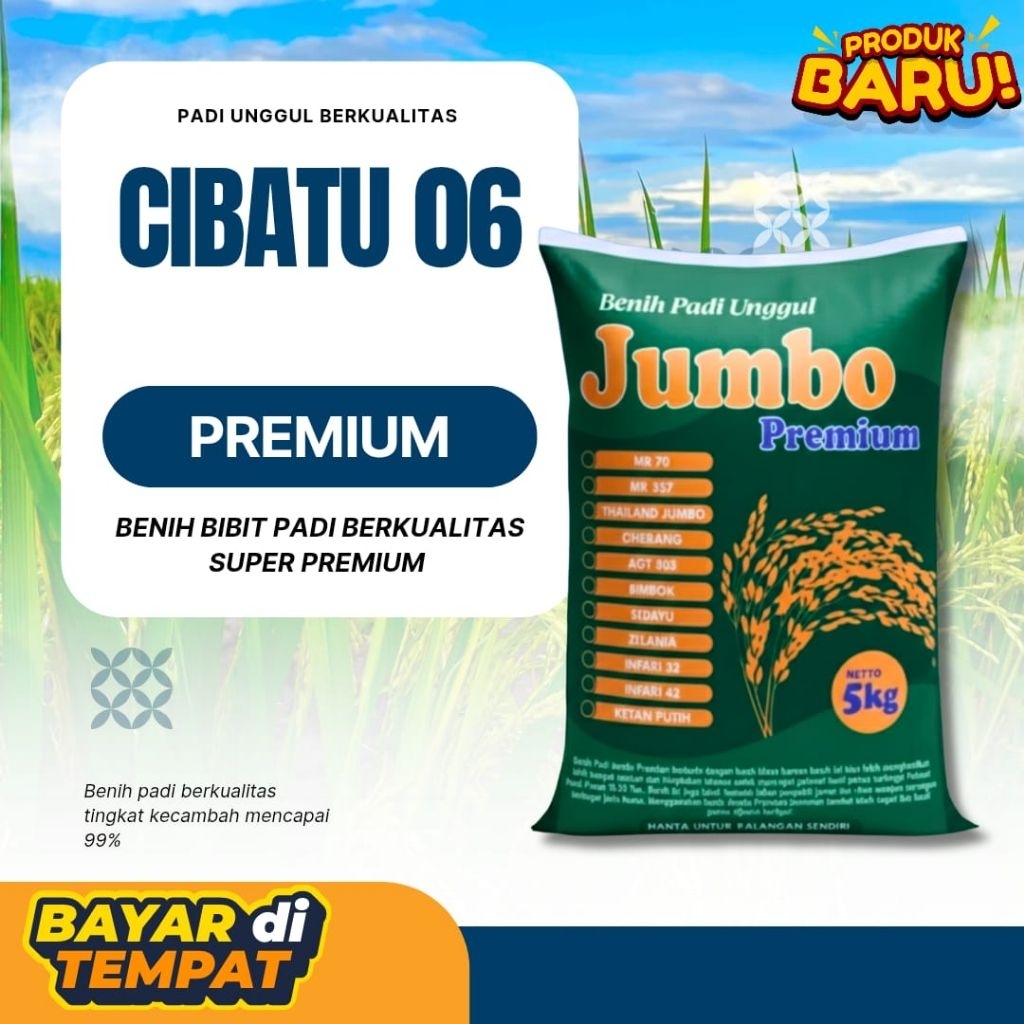 Cibatu 06