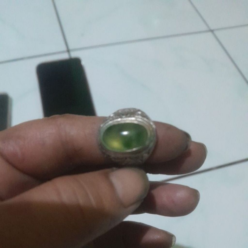 lumut aceh