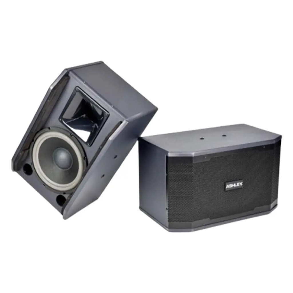 Speaker Pasif Ashley K2310