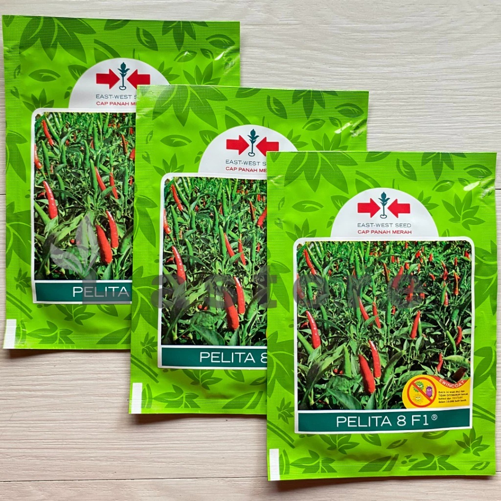 benih cabe PELITA 8 F1 2250 butir cabai rawit hijau dari panah merah