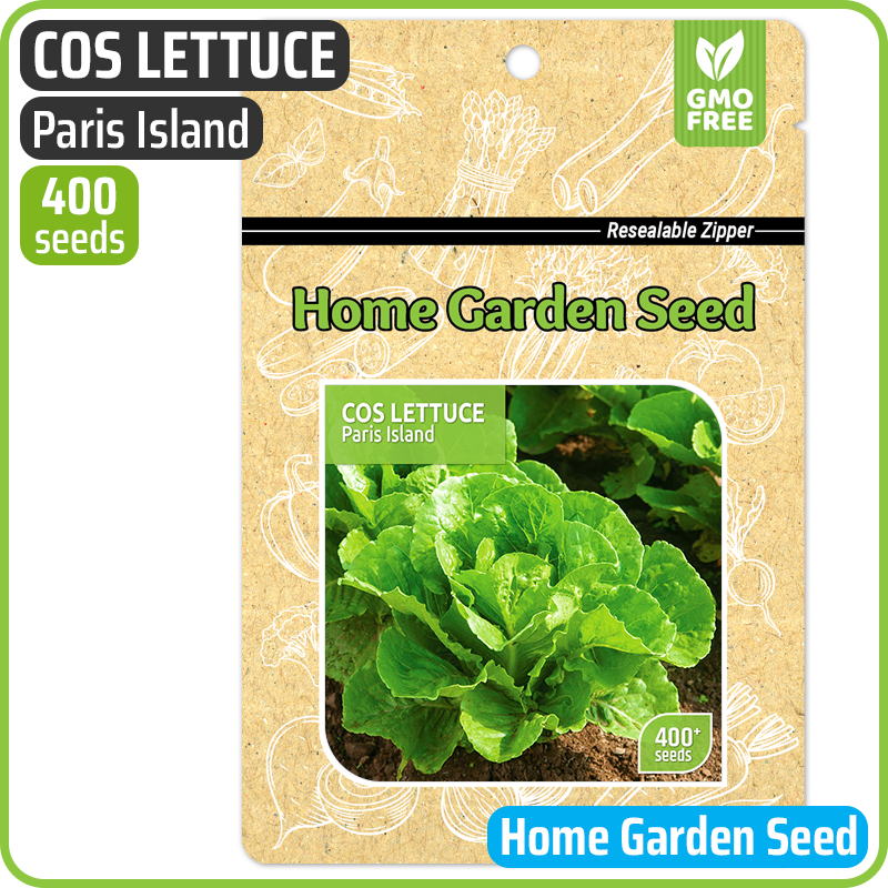 Benih HGS, Selada - Cos / Romaine Lettuce - Paris Island