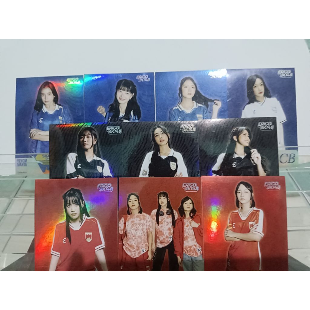 Photocard Panini Erigo X JKT48