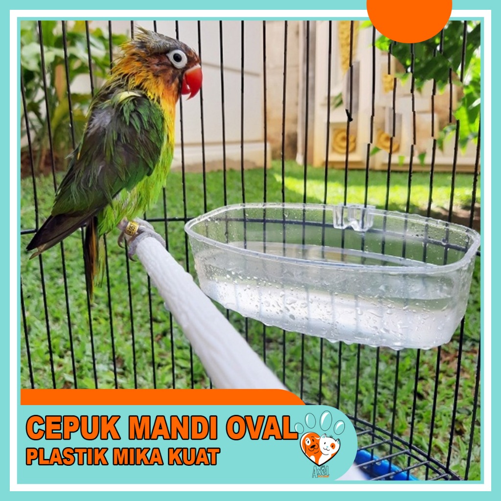 Cepuk Mandi Burung OVAL Wadah Tempat Makan Minum Mika Plastik Tebal AXEL PETSHOP