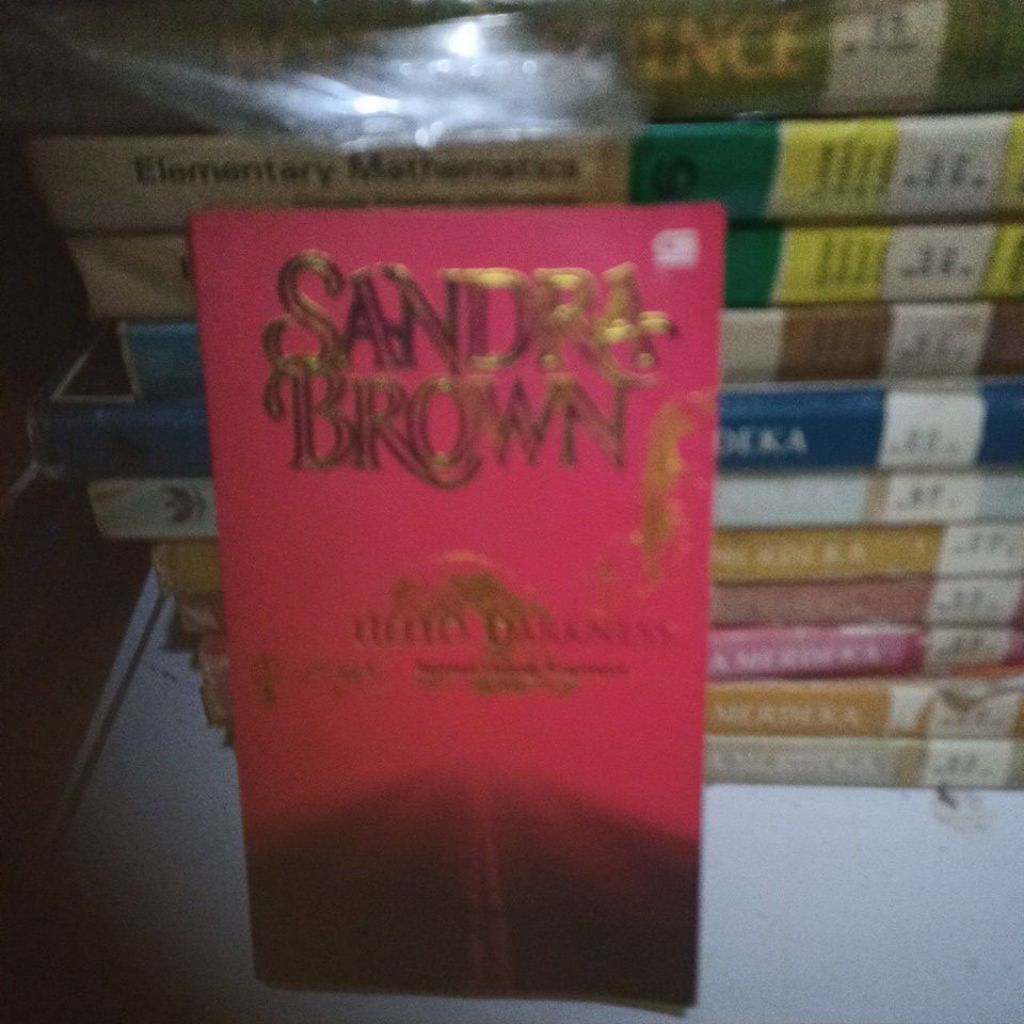 novel Sandra brown hello darkness