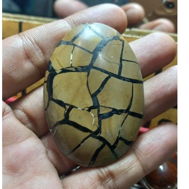 Batu Sisik Naga Enrekang Top Quality