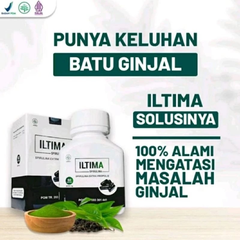 ILTIMA Spirulina dan Propolis Bantu Mencegah & Mengobati Batu Ginjal Terapi Kesehatan Ginjal