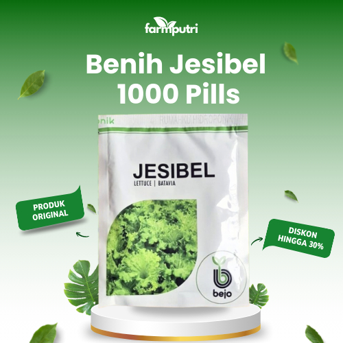 Benih Jesibel 1000 pills | Bejo | Selada | Bibit Hidroponik