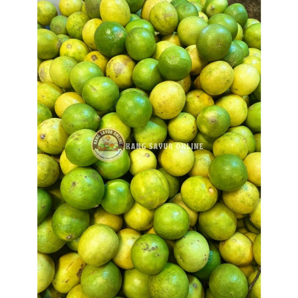 Jeruk nipis segar/ super/ berkualitas/ murah/ 1Kg