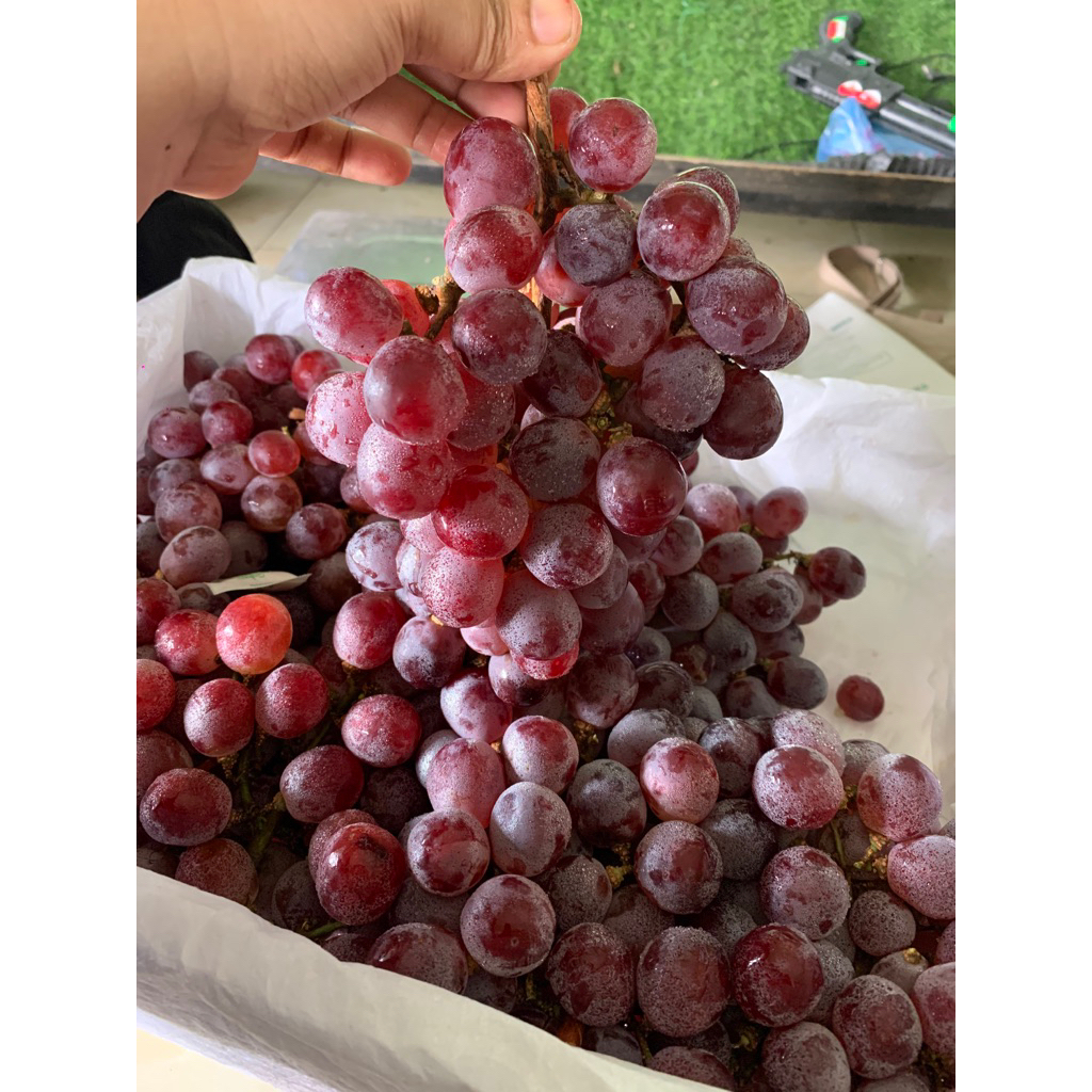 Anggur merah _Anggur merah 500gr