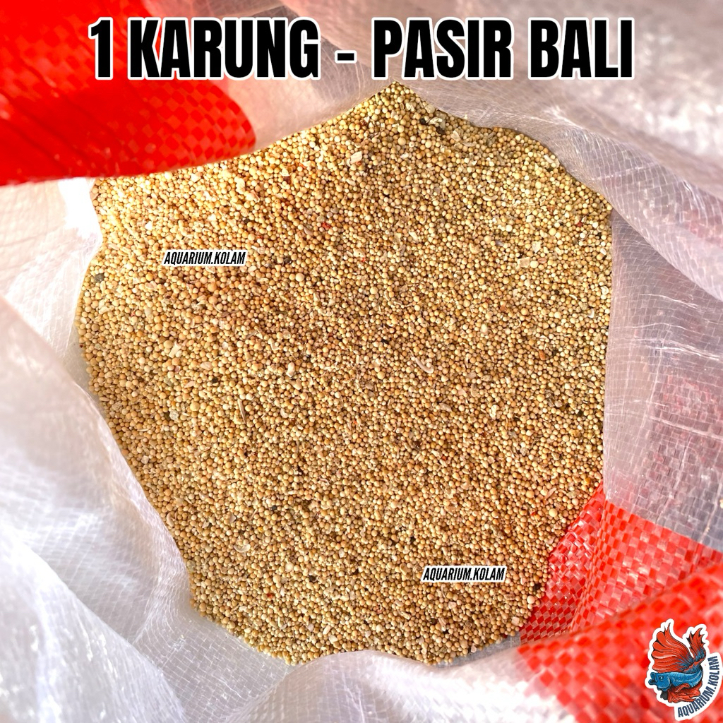 1 KARUNG 10KG | PASIR BALI ASLI Pasir Substrat Dasar Aquascape Hiasan Aquarium