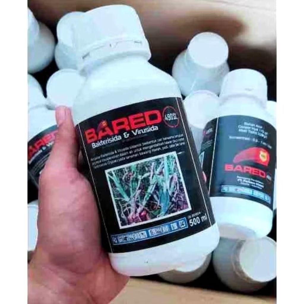 bared bakterisida dan virusida 500 ml